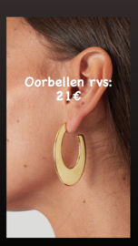 oorbel RVS