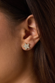 RVS oorbel ster zilver