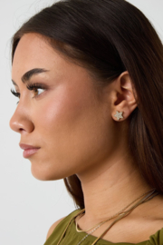 RVS oorbel ster goud