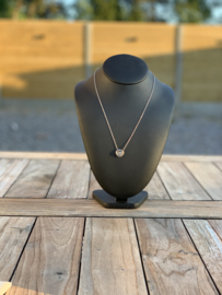 RVS ketting roosje zilver