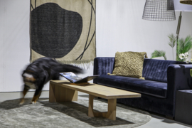 Salontafel Oblong