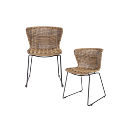 set In- en Outdoor Wings eetkamerstoelen