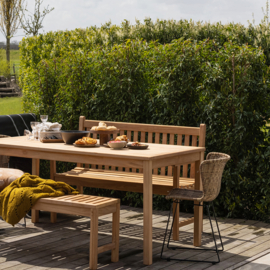 set In- en Outdoor Wings eetkamerstoelen