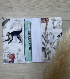 Safari