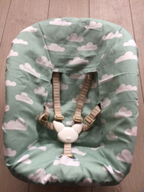 Newborn 'Cloud'