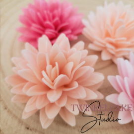 Aster Mix 2 3D - 5.5 cm 4 pcs (wafer paper)