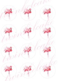 cupcakeprint flamingo 1