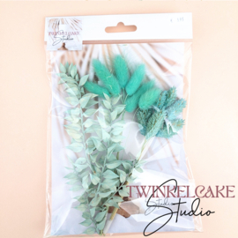 Turquoise Mint Vibes