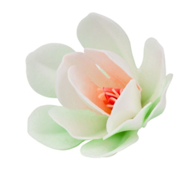 Magnolia 3D White 9 & 5 cm - 3 pcs (wafer paper)