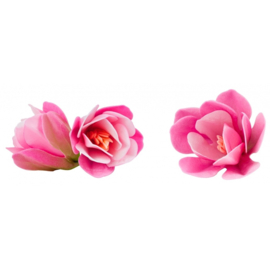 Magnolia 3D Fuchsia 9 & 5 cm - 3 pcs (wafer paper)