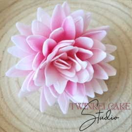 Aster 3D Pink Large 12 cm (wafer paper)