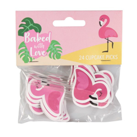 Flamingo pics - 24 st