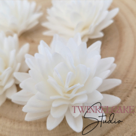Aster Wit 3D - 5.5 cm 4 pcs (wafer paper)