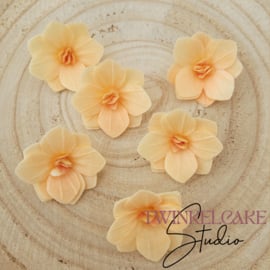 Hortensia 3D Oranje 3.7 cm - 6 st (waferpaper)