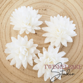 Aster Wit 3D - 5.5 cm 4 st (waferpaper)