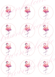 cupcakeprint flamingo 2