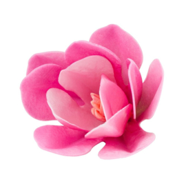 Magnolia 3D Fuchsia 9 & 5 cm - 3 pcs (wafer paper)