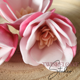 Magnolia 3D Fuchsia 9 & 5 cm - 3 pcs (wafer paper)