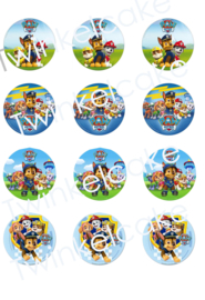 cupcakeprint paw patrol mix 1