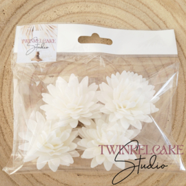Aster Wit 3D - 5.5 cm 4 pcs (wafer paper)