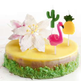 Tropical 3D candle - 6 pcs