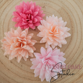 Aster Mix 2 3D - 5.5 cm 4 st (waferpaper)