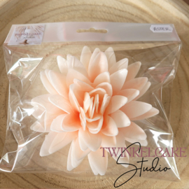 Aster 3D Peach Large 12.0 cm 1 pc (papier azyme)