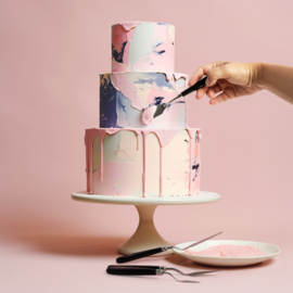 Spatules jeu de 5 pièces