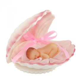 Baby in Roze schelp (ENKEL IN WINKEL) 3D