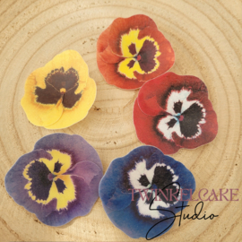 Viooltjes 3D mix 5 cm - 5 st (waferpaper)