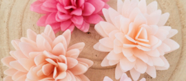 Bloemen 3D Waferpaper 