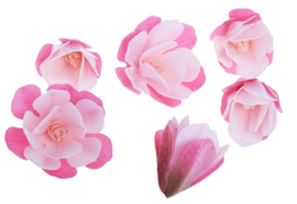 Magnolia 3D Fuchsia 9 & 5 cm - 3 pcs (wafer paper)