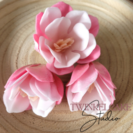 Magnolia 3D Fuchsia 9 & 5 cm - 3 st (waferpaper)
