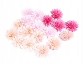 Aster Wit 3D - 5.5 cm 4 pcs (wafer paper)