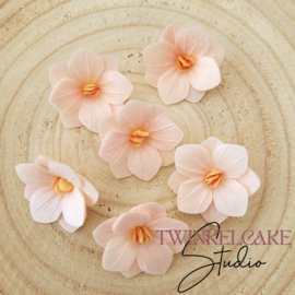 Hortensia 3D Peach 3.7 cm - 6 st (waferpaper)