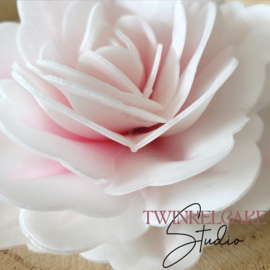 China 3D Rose Extra Large Pink/White 12.5 cm - 1 Pc (wafer paper)