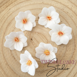 Hortensia 3D Wit 3.7 cm - 6 st (waferpaper)