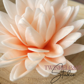 Aster 3D Peach Large 12.0 cm 1 pc (papier azyme)