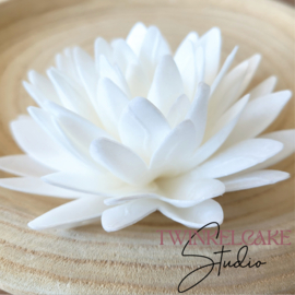 Aster 3D White Large 12.5 cm (wafer paper)