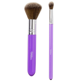 Dusting Brush Set 2 pieces