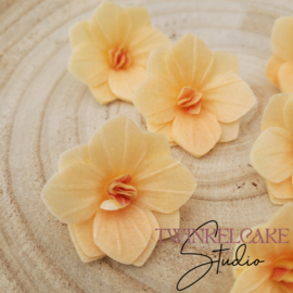 Hydrangea 3D Orange 3.7 cm - 6 pcs (wafer paper)