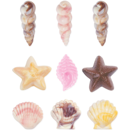 Candy Mold Seashells Wilton