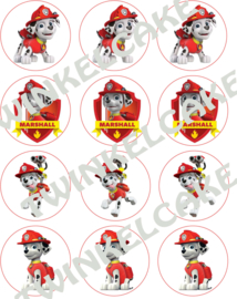 Paw Patrol Edible print cupcake Marshall