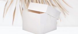 Boîtes à gâteau sans fenêtre