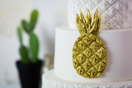 Tropical Pineapple (ananas) by Karen Davies