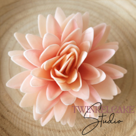 Aster 3D Zalmkleur Large 12 cm (wafer paper)
