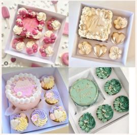 Bento Cake und cupcakebox - 10 St (Kombibox)