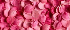Eetbare gedroogde bloemen