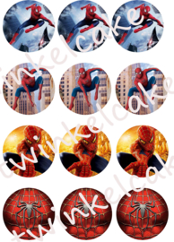 Spiderman Edible print cupcake