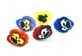 Violets 3D 5 cm - 5 pcs (wafer paper)
